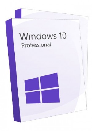 Windows 10 Professional Key (2 Keys)